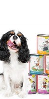 Hond Accessories Natvoer Proefpakket hond 200g 1 Set met verschillende soorten natvoer / vlokken en testpakketten Anifit